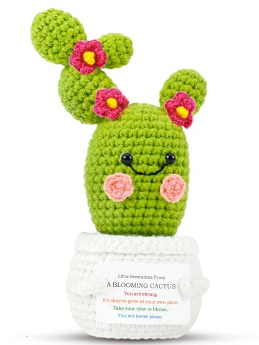 Positive Cactus Birthday Gifts for Women: Crochet Blooming Cactus Flower Plant Gifts for Friends Sister Wife Birthday Mother's Day, Plant with Inspirational Cards Little Reminders Office Decors