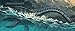 Loch Ness Monster (Mythical Creatures)