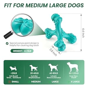 Dog-Chew-Toys-for-Aggressive-Chewers-Large-BreedIndestructible-Bones-ToyDurable-Cleaning-Toothbrush-Natural-Rubber-Dog-Toys - Cucciolini Doodles   Dog-Chew-Toys-for-Aggressive-Chewers-Large-BreedIndestructible-Bones-ToyDurable-Cleaning-Toothbrush-Natural-Rubber-Dog-Toys