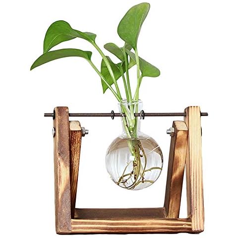 Yimeezuyu Plant Propagation Stations,Hydroponic Plant Vases with Wooden Stand,Desktop Glass Planter Bulb Glass Vase for Hydroponics Plants Home Office Garden Decor Cover