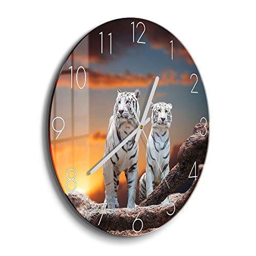 DEQORI Glasuhr | rund Ø 30 cm | Motiv Weiße Tiger im Abendlicht | ausgefallene leise Design Uhr aus Glas | Wanduhr für Wohnzimmer & Küche | moderne Hingucker Uhr für die Wand