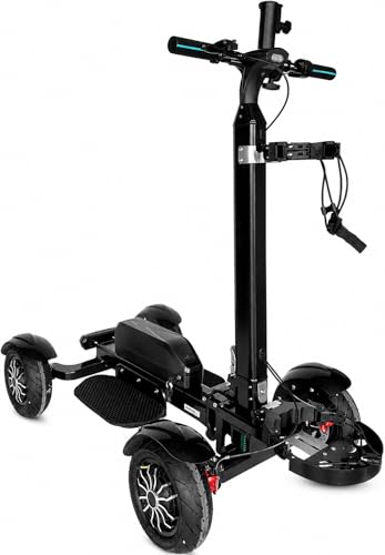 AESWGOF 2400W Electric Golf Cart