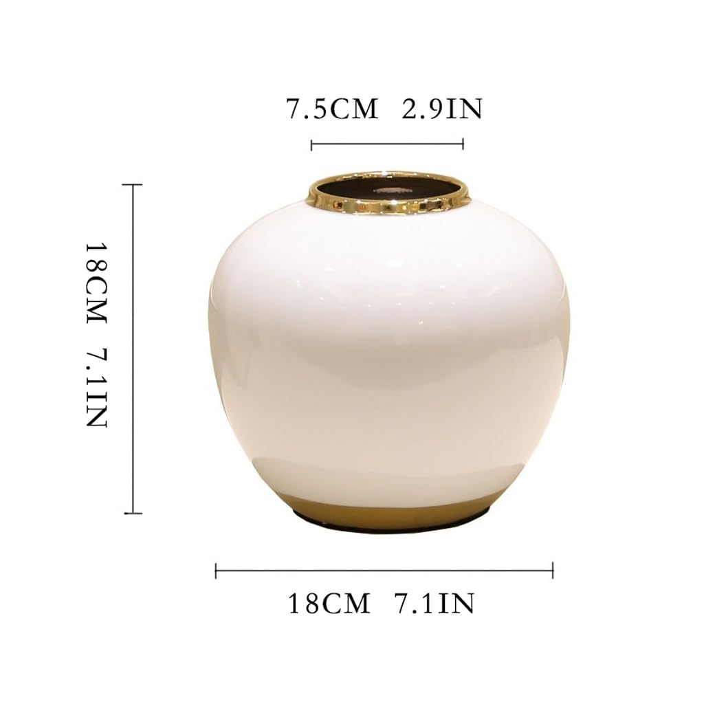 Vase à Fleurs Vase Rond en céramique, Meuble TV, Table à Manger, Maison, Salon, décoration de Fleurs séchées, Arrangement de Fleurs, Vase d'ornement Vases