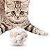 ShengQuanHao 2xInteractive Cat Toys Kicker Toys Rolling Ball Chirping Balls Cat Toy Balls for Playing Puppy, 3 Pcs