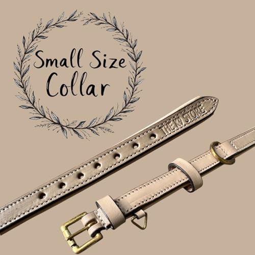 Image of High Graded Premium Leather Dog Collar- Dog Collar for Large Dogs, Dog Collar for Med, Dog Collar Belt (Grey, Size Neck - Small (11.5-14.5 Inch)
