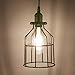 Kohree Metal Bulb Guard Lamp Cage, for Pendant Light, 32-42mm Lamp Base, Ceiling Fan Light Bulb Covers Vintage Open Style Industrial Grade Adjustable 4 Packs(Cage ONLY)