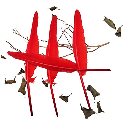 Lwingflyer 25Pcs Red Long Goose Feathers 10-12 Inch For Crafts Diy Wedding Party Home Decorations Accessories Pen Feathers #TOP1