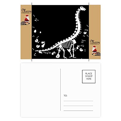 Cartes de remerciement os de dinosaure : lot de 20 cartes avec enveloppes