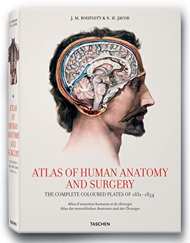 XL-BOURGERY ATLAS ANATOMIE