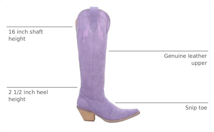 Image of Dingo Womens Thunder Road Embroidered Snip Toe Casual Boots Knee High Mid Heel 2-3 inch