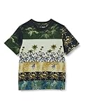 Desigual Boys TS_Sandia T-Shirt, Green, 11/12