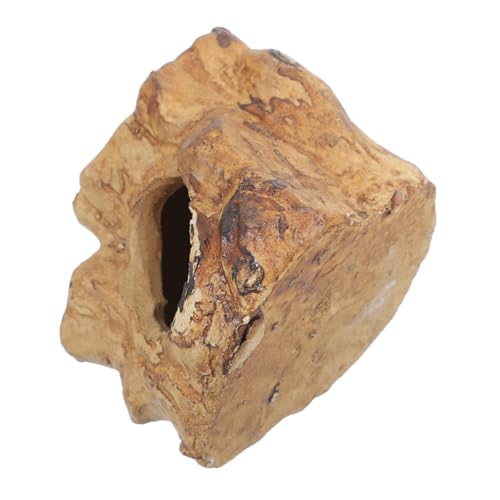 Abaodam Fish Tank Caves and Hides Compact Reptile Hideout with Multiple Entry Points Design for Betta Fish and Shrimp Enhances Aquarium Decor and Interaction