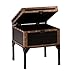 Drifton Travel Trunk End Table