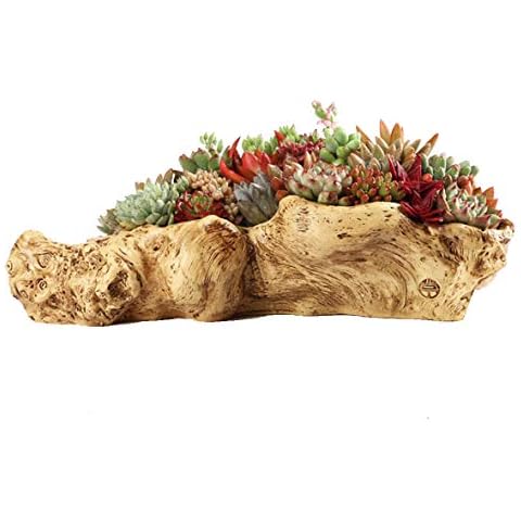 Treibholz Pflanzer Skulptur Harz Sukkulenten Pflanzer Rustikaler Stumpf Kaktus Container Stamm Log Blumentopf Hausgarten Pflanzer Topf Cover