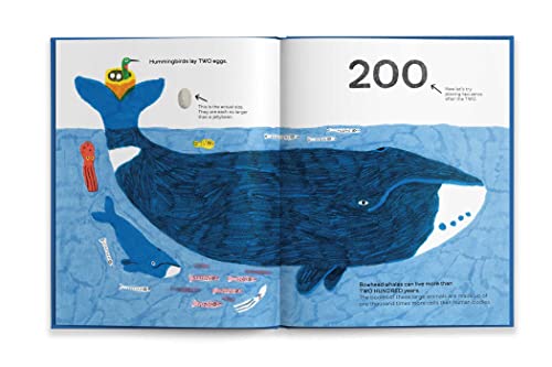 Octopuses Have Zero Bones: A Counting Book about Our Amazing World (Math for Curious Kids, Illustrat