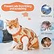 Katzenbody nach Op, Kastration Katze Body für Katzen Operation, Verstellbarer Rückenlänge Medical Pet Shirt, Atmungsaktiver Katzenanzug Gegen Lecken von Kastrations, Unterleibswunden, Orange XL