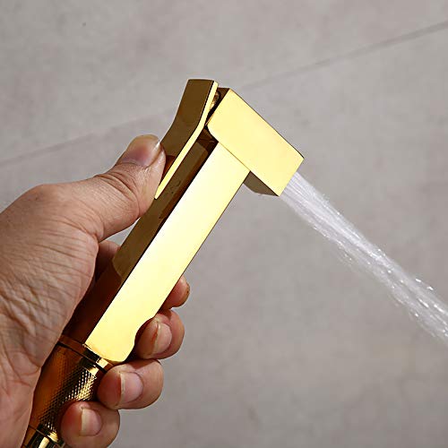 Kit pulvérisateur de bidet de toilette en laiton à gâchette précise