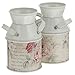 EXCEART 2 Pièces Rustique Fleur en Métal Vase Français Pays Fer Shabby Chic Vase Vintage Ferme Lait Peut Jug Seau Galvanisé Fleur Titulaire pour La Maison Boutique Bureau Décor