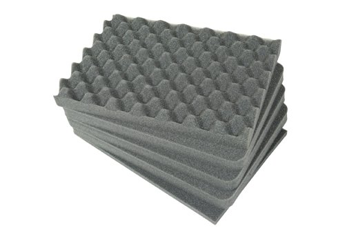 SKB Cases 5Fc-1309-6: Replacement Cubed Foam for 3I-1309-6