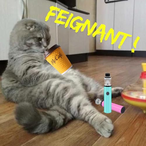 Est-ce qu'on est des feignants (feat la branlette corse) ?