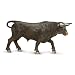 Safari Black Bull