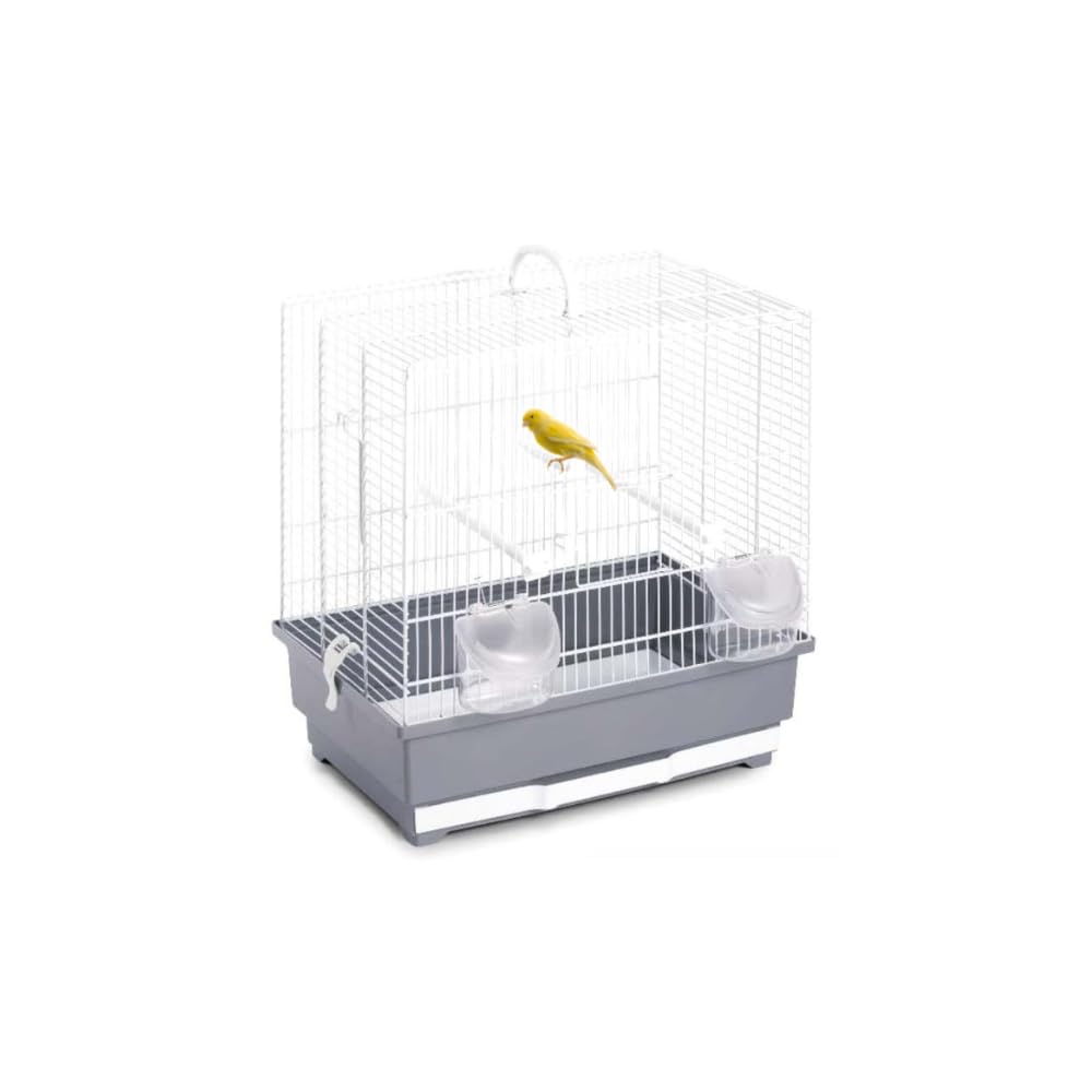 Pet's Market Alfa 60 Gabbia Voliera Uccelli in Metallo per Canarini Pappagallini Calopsite Inseparabili Uccelli e Piccoli Volatili con Posatoi Mangiatoie Beverino Colori Assortiti (59x36x58 H)