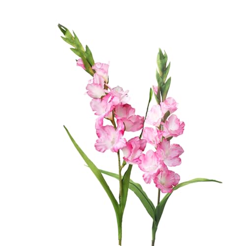 BQEE Lot de 2 fleurs de glaïeul artificielles à longue tige pour décoration de maison/mariage/bureau (rose)