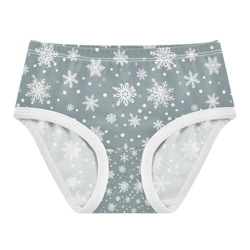 Snowflakes Blue Gray Panties for Girls, Toddler Briefs, Cotton Girls Underwear, 2–8 Years
