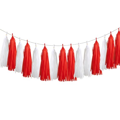 20Pcs Red and White Paper Tassel Garland Tissue Tassel Banner for Baby Shower Wedding Valentines Day Engagement Birthday Party Decorations