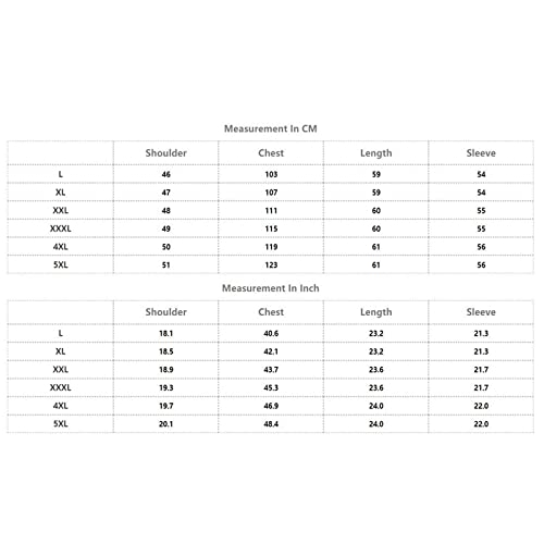 Kelsiop Spring Plum Flower Embroidered Cotton Collar Denim Jacket Women's Harajuku Loose Ripped Blue Denim Jacket4