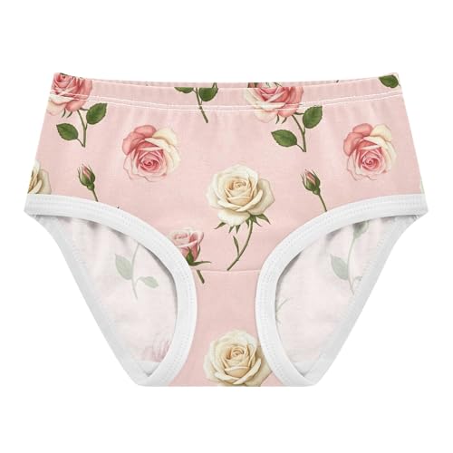 Personalized Toddler Girls Underwear 2t Cotton Cute Panties Girl Pink Roses Pastel White Floral Underpants Briefs