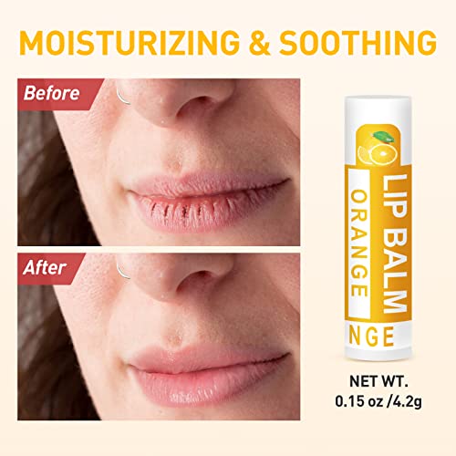 DMSKY Natural Lip Balm Bulk 24 Pack, Moisturizing Lip Balm with Vitamin E and Coconut Oil, Lip Care Product for Chapped Lips-12 Flavors