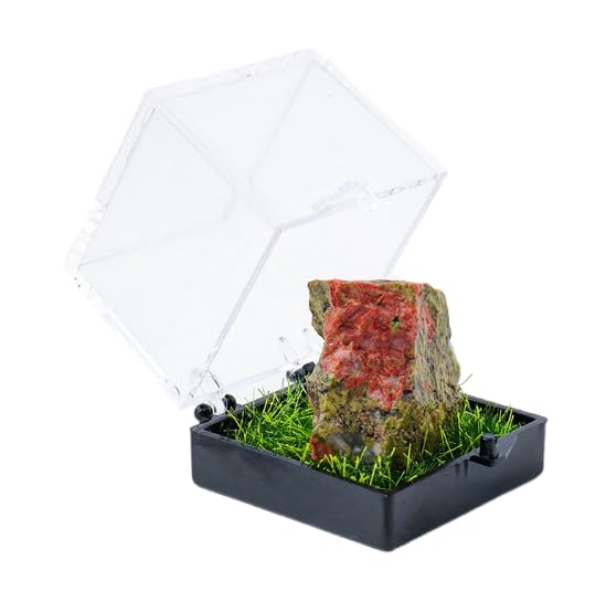 Namzi 2 Pieces of Mixed Color Natural Crystal raw Stone Mining Standard Box Decoration, Crystal raw Stone Children's Mining Science Popularization Teaching Gift Decoration