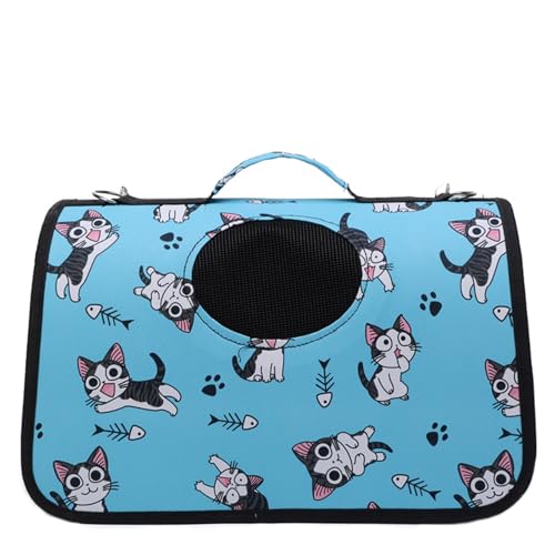 ėp pL[obO \tg^Cv ړP[W Eh~ ܂肽݉\ yʐ݌v ʋC ȃXy[X RpNg[ V/ԍ/a@ʂp(Blue,Large)