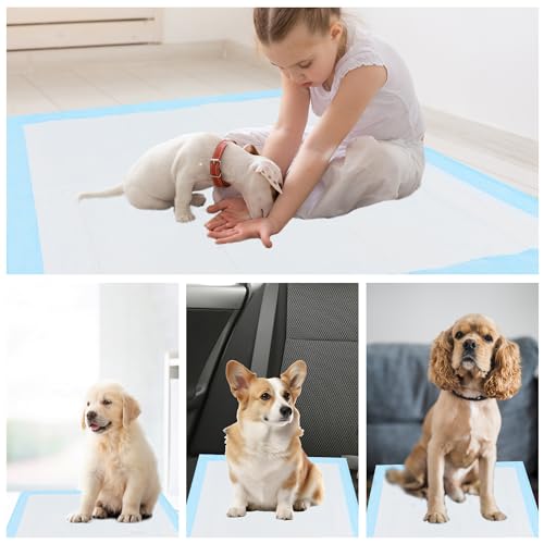 Dog and Puppy Pee Pads 22x22 Dog Training Pads 50 Count Waterproof Dog and Puppy Pet Training Pad for Dog Playpen with Leak-Proof Pets Dogs Training Pads 22x22 50 Pack