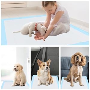 Dog and Puppy Pee Pads 22x22 Dog Training Pads 50 Count Waterproof Dog and Puppy Pet Training Pad for Dog Playpen with Leak-Proof Pets Dogs Training Pads 22x22 50 Pack Dog and Puppy Pee Pads 22×22 Dog Training Pads 50 Count Waterproof Dog and Puppy Pet Training Pad for Dog Playpen with Leak-Proof Pets Dogs Training Pads 22×22 50 Pack