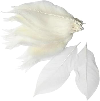 100 Natural Magnolia Skeleton Leaves for Crafts - Large Decorations for Wedding, Party, Christmas - DIY Art Craft Floral Decor - White