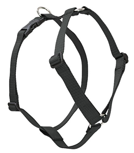 LupinePet Basics 1" Black 24-38" Adjustable Roman Dog Harness for Large Dogs