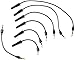 Autolite 96100 Spark Plug Wire Set