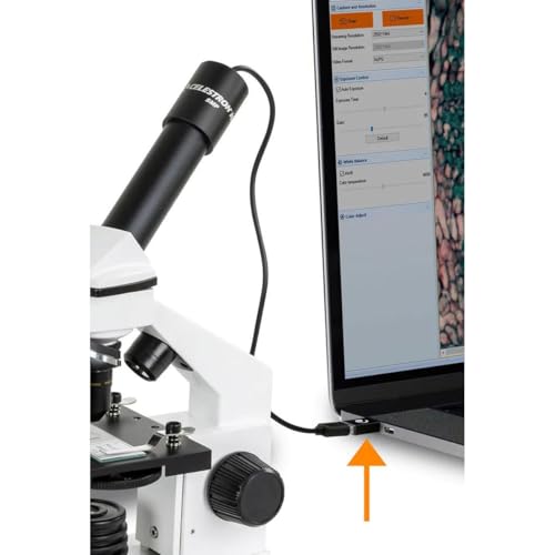 Celestron convertidor USB-C a USB-A paquete de 2 adaptadores compactos 3