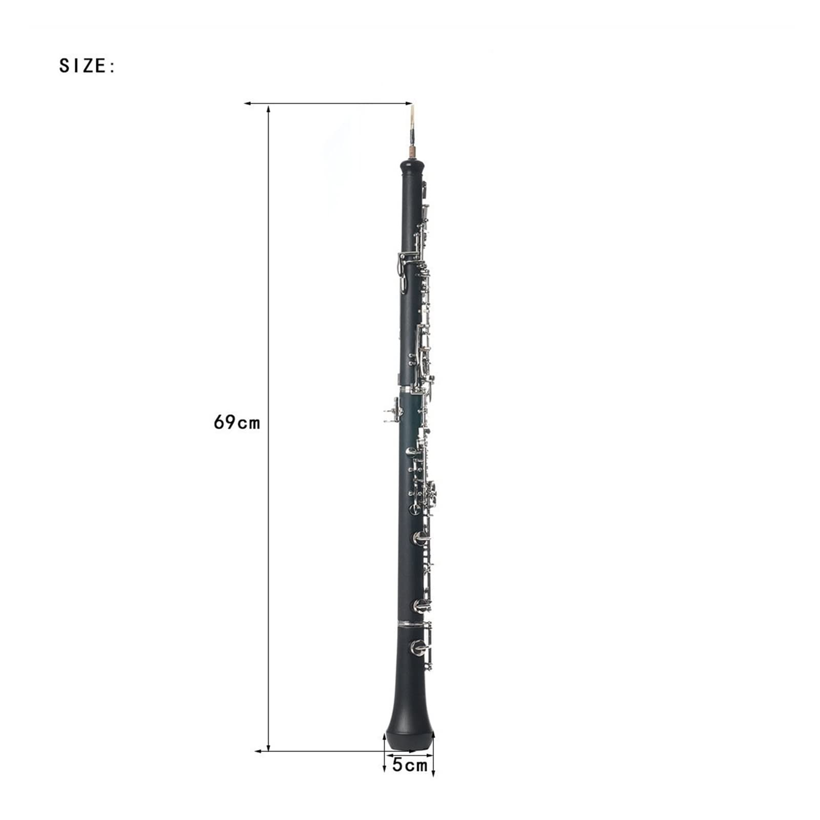 Amazon.co.jp: オーボエ楽器 ニッケルメッキオーボエシルバーBフラット 