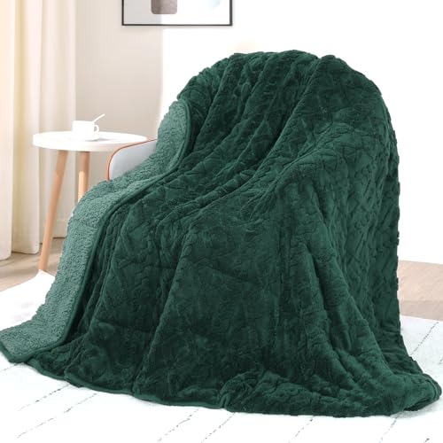 Image of Drewin Queen Size 15 lbs Weighted Blanket for Adults, Soft Fuzzy Jacquard Sherpa Weighted Blankets for Sleeping, Cozy Sofa Bed Blanket for Winter, Dark Green, 48 x 72 inches