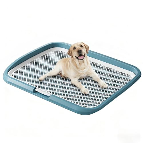 Xy[XgCg[  gC  gCg[ Ch ϋvh݌v ^Ή ͂ݏoh~ ^Ή ֗ p֊ ^ r V[cΉ Ch݌v gCg[ pgC{bNX/O ^ ^