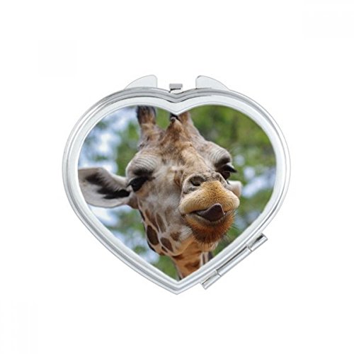 Miroir compact motif vache idée cadeau mignon pour femme