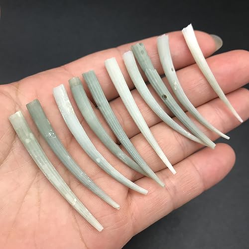 PEPPERLONELY 10 PC Smooth Green Tusk Sea Shells, Beach Wedding Nautical Decor Crafts, 1-1/4~2 Inches