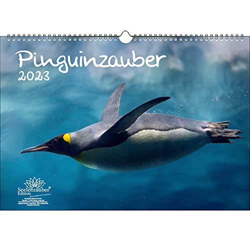 Preisvergleich Produktbild Pinguinzauber DIN A3 Kalender für 2023 Pinguin - Seelenzauber