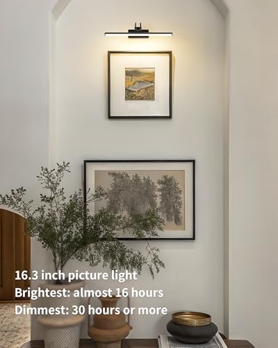 Image of KDG LED Cordless Wall Picture Light with Remote, 5200mAh Rechargeable Dimmable Art Lighting, Adjustable Swing Arm, Picture Frame Light for Gallery, Living Room, Hallway, 16.3 inch, Black