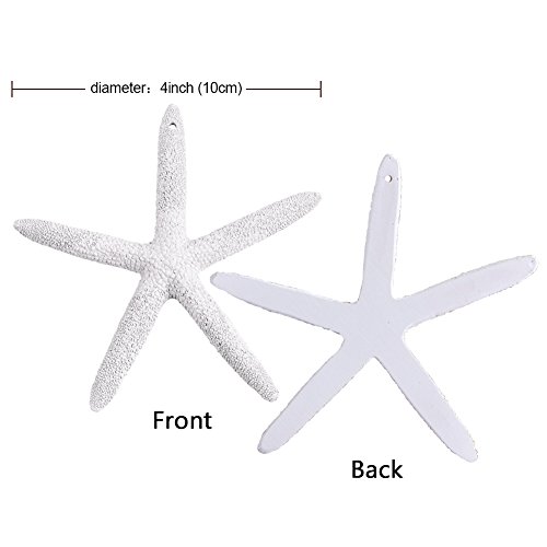 Starfish 2 White Finger 4 -5 Nautical Crush Trading TM