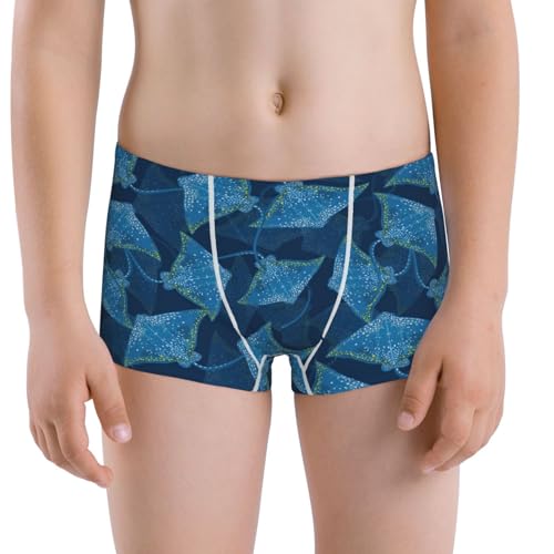 Boys' Cotton Boxer Brief Soft Underwear-Stingray