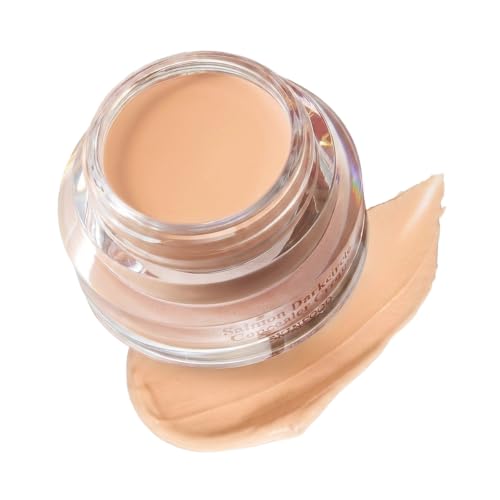 SKINFOOD Salmon PDRN Dark Circle Concealer Cream - 2 Beige, Under Eye Concealer for Dark Spots and Wrinkles, Full Coverage, Stocking Stuffer, 10 g (0.35 Oz)